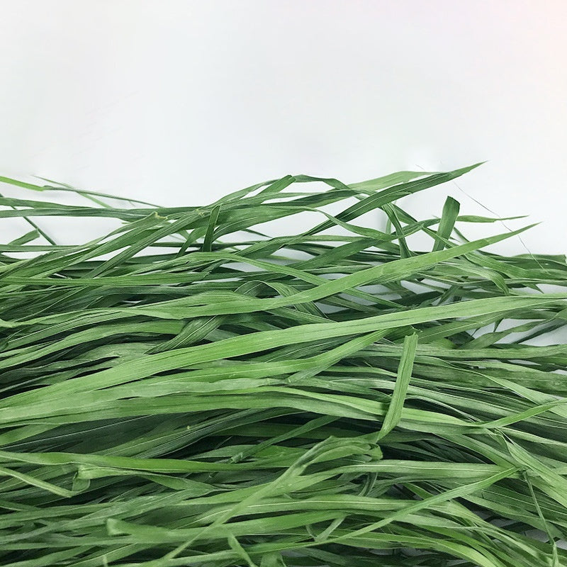 Why Dried Timothy FCL Hay Snacks are Essential for Your Small Pets